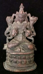 Surya Pala