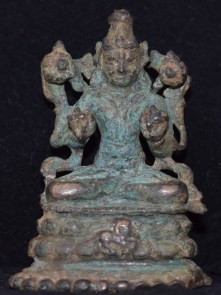 Surya Pala