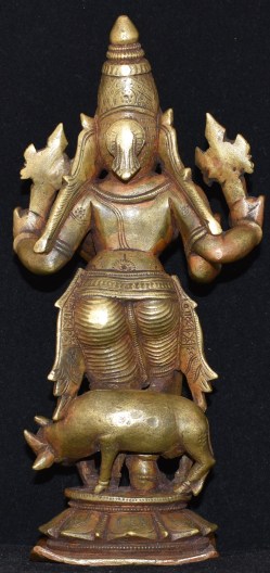 Venugopala GJ Back