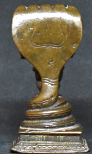 Navneetha Krishna back