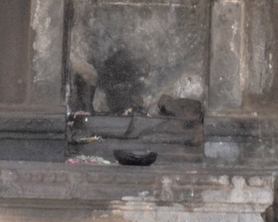darasuram missing Ganesha closeup