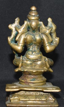 SA305 Hayagriva back