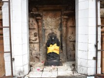 Dakshinamurthy Pulla 3